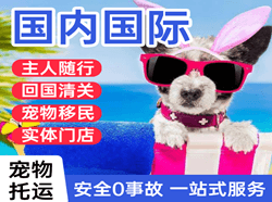 成吉思汗机场快递国际宠物托运 【国